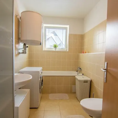 Apartman U Kostela Destne v Orlickych horach Exterior photo